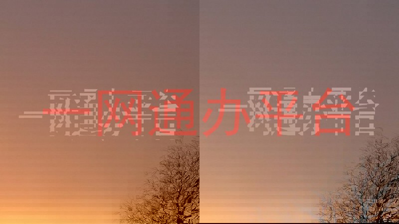 一网通办平台