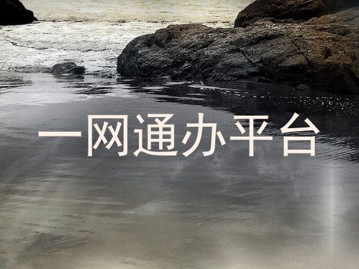 一网通办平台