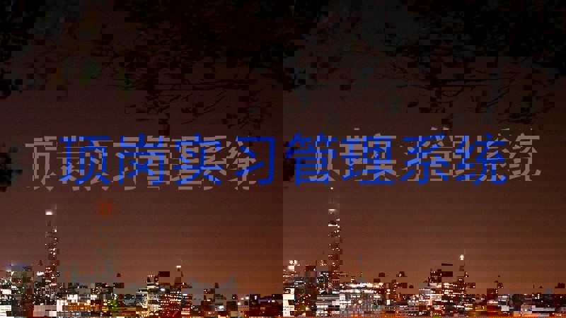 顶岗实习管理系统