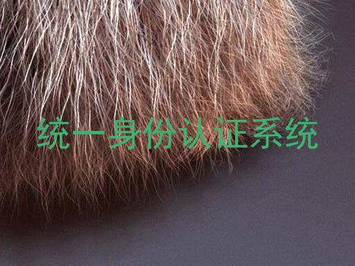 统一身份认证系统