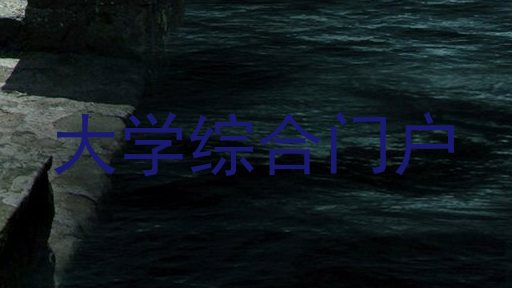 大学综合门户