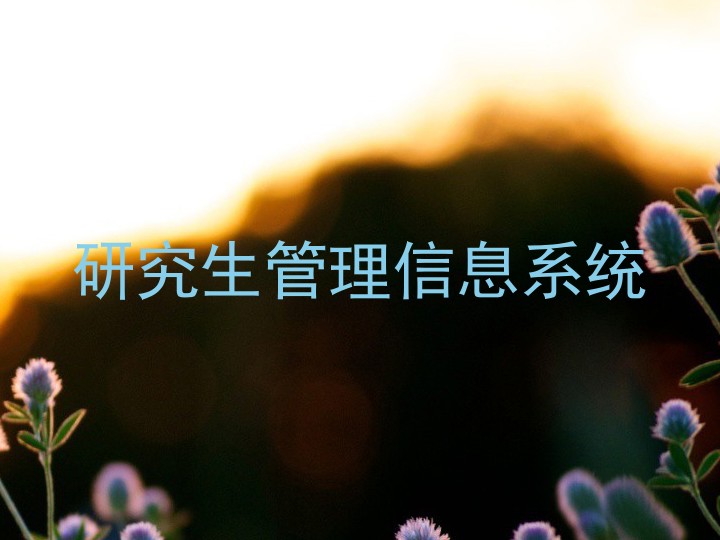研究生管理信息系统