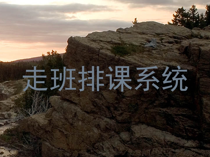 走班排课系统