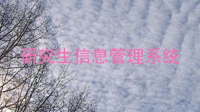 研究生信息管理系统