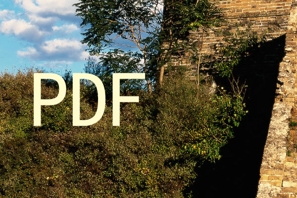 PDF