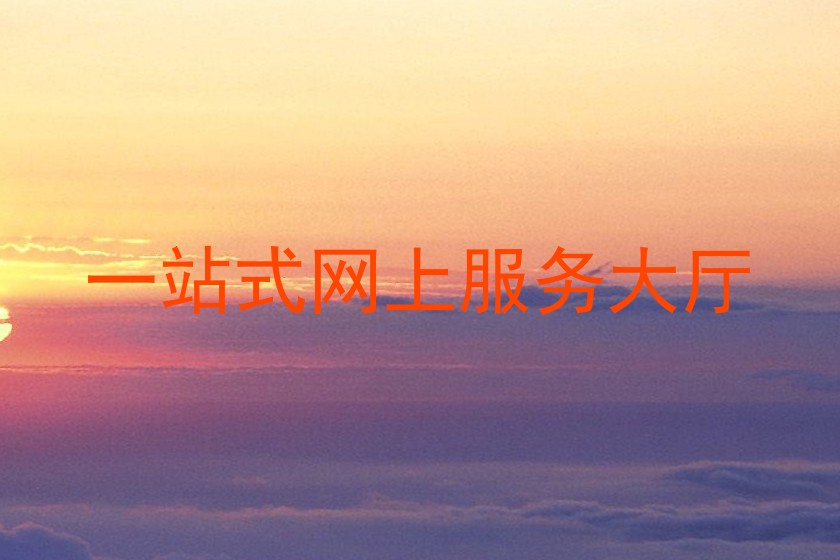 一站式网上服务大厅