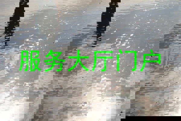 服务大厅门户