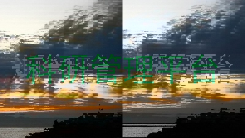 科研管理平台