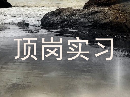 顶岗实习