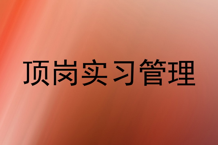 顶岗实习管理