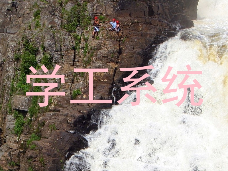学工系统