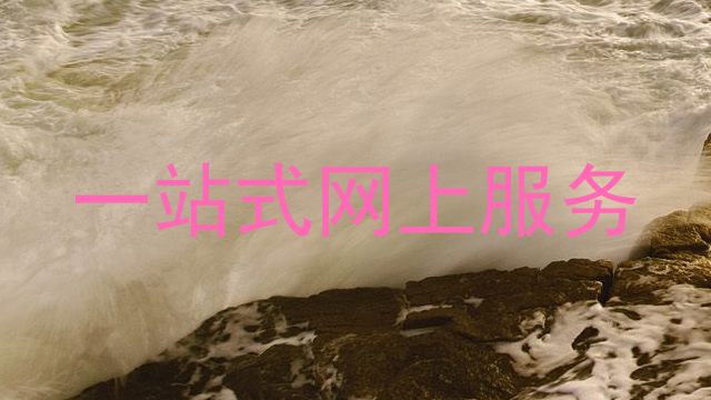 一站式网上服务