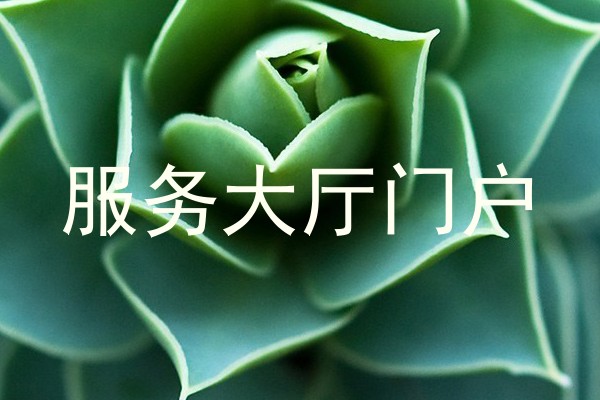 服务大厅门户