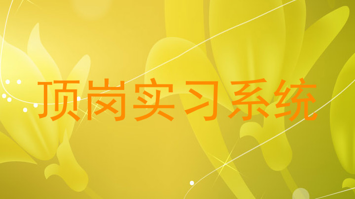 顶岗实习系统