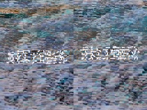 顶岗实习管理系统