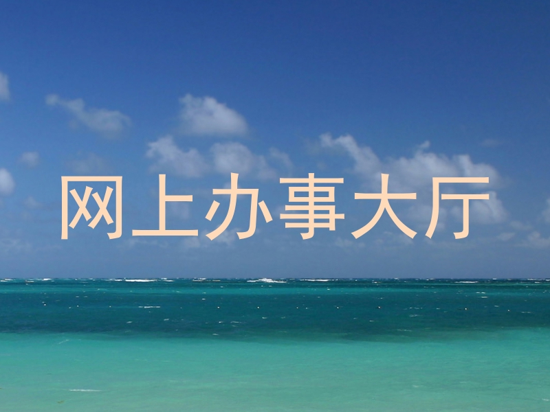 网上办事大厅