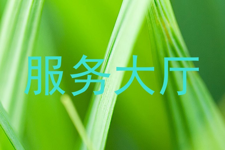 服务大厅