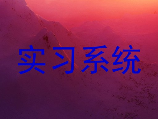实习系统