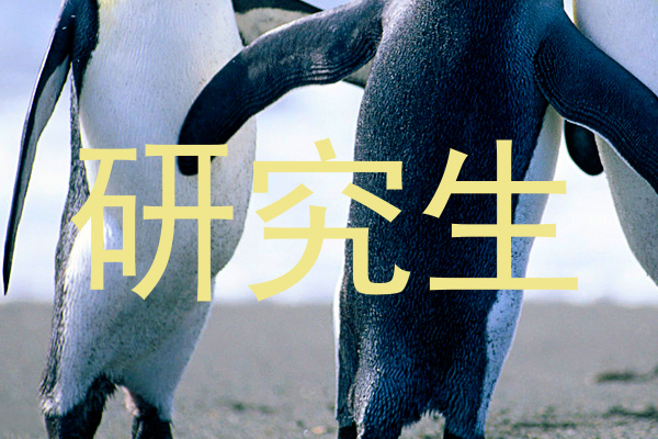 研究生