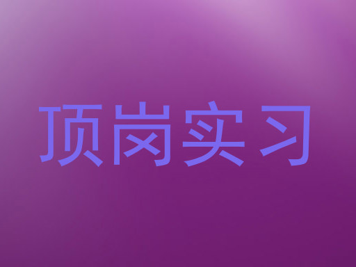顶岗实习