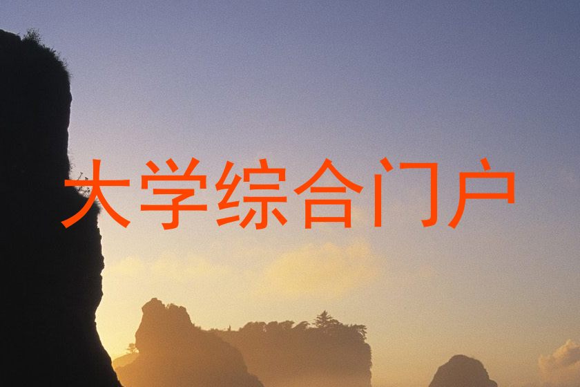 大学综合门户