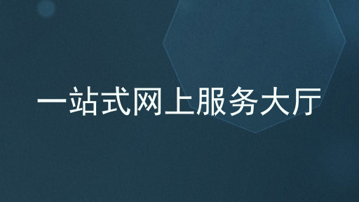 一站式网上服务大厅