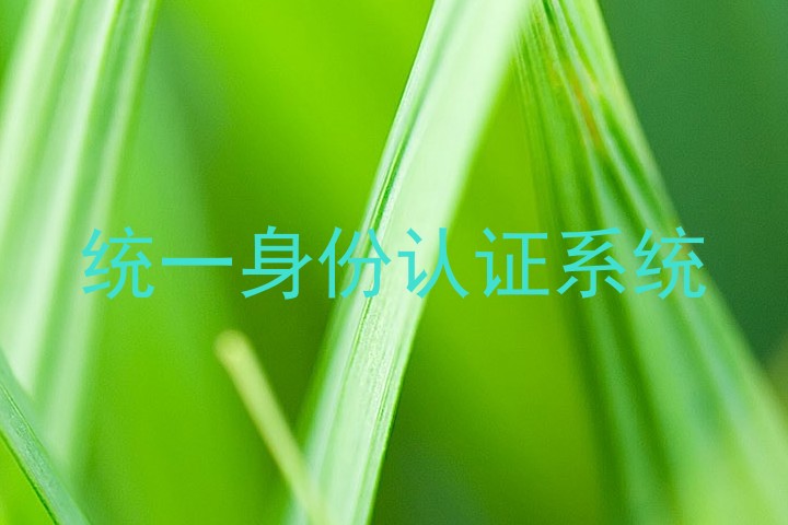 统一身份认证系统