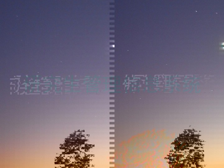 研究生管理信息系统