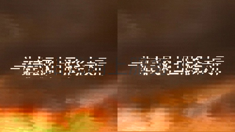 一站式网上服务大厅