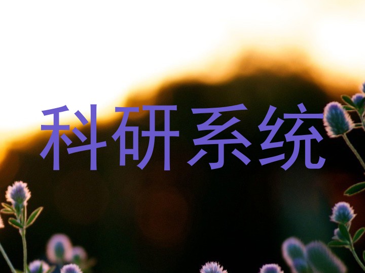 科研系统