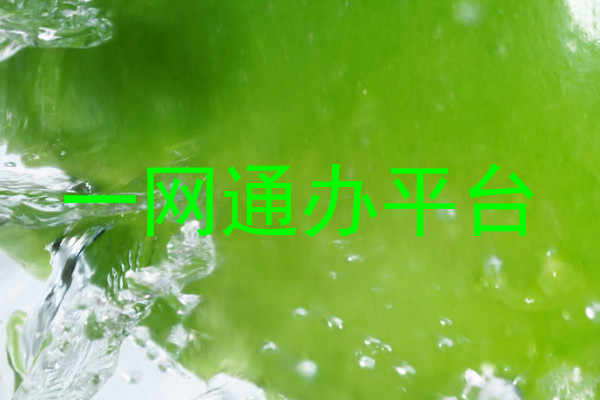 一网通办平台