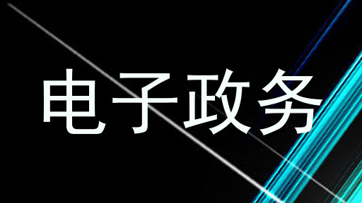 电子政务