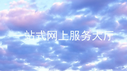 一站式网上服务大厅