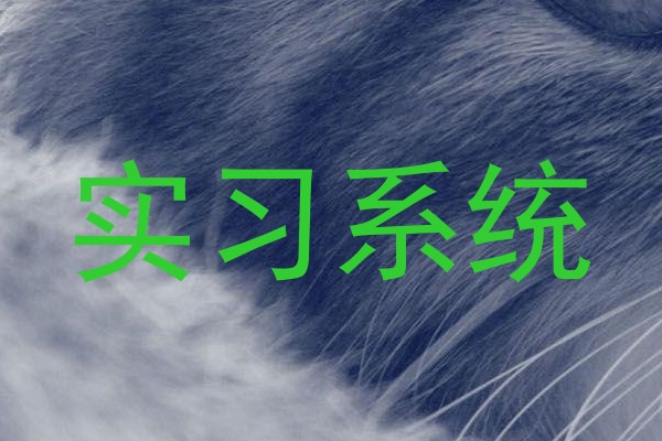 实习系统