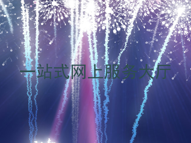 一站式网上服务大厅