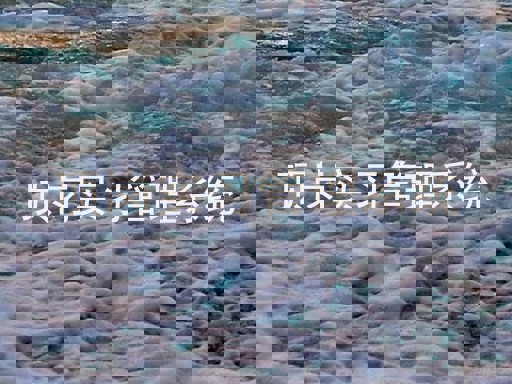 顶岗实习管理系统