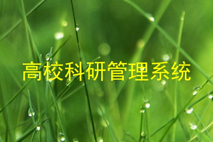 高校科研管理系统