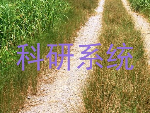 科研系统