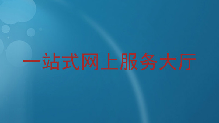 一站式网上服务大厅