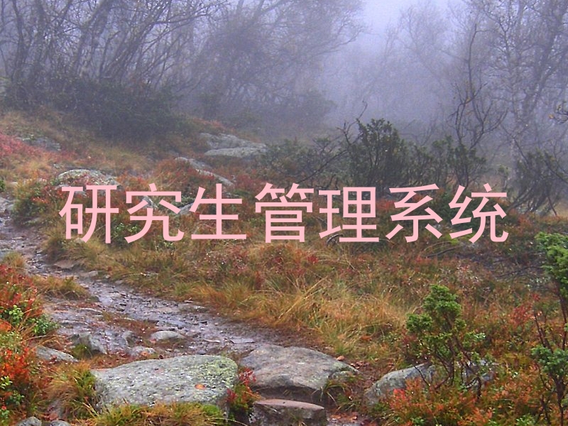 研究生管理系统