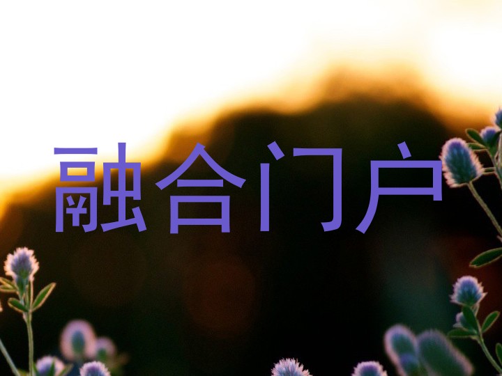 融合门户