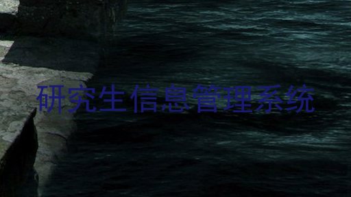研究生信息管理系统