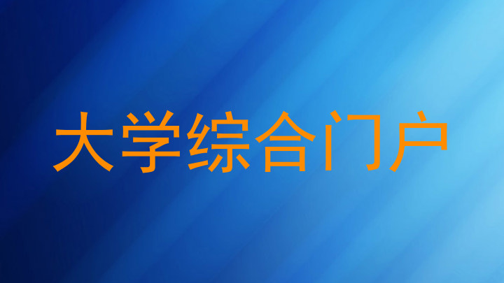 大学综合门户