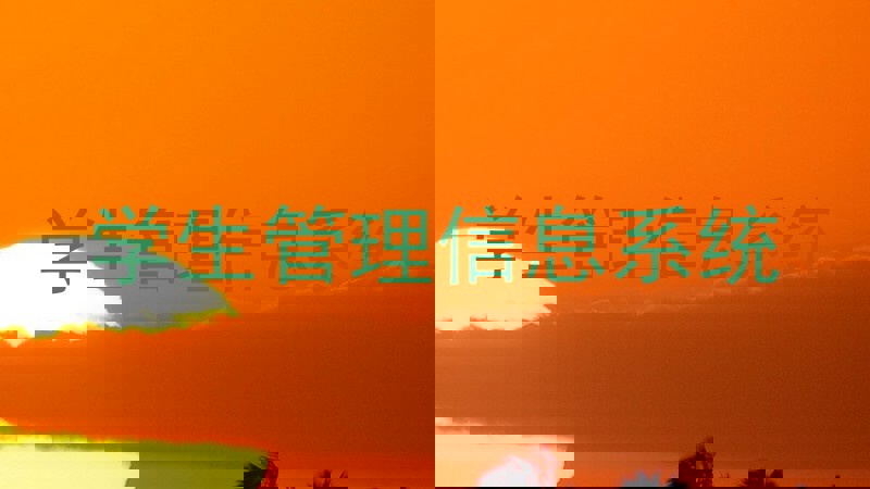 学生管理信息系统