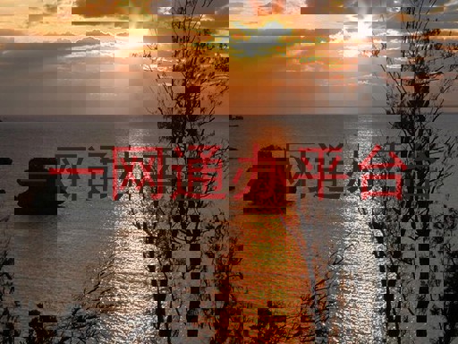 一网通办平台