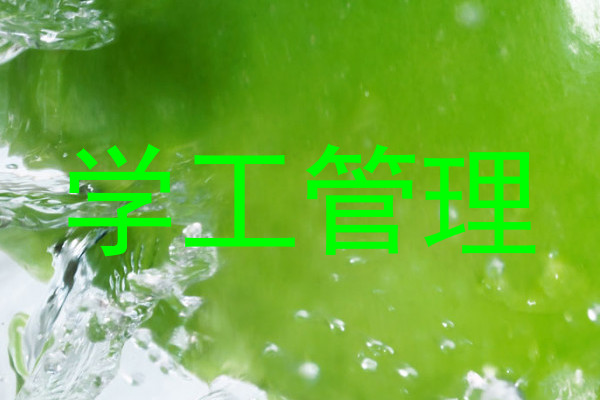 学工管理