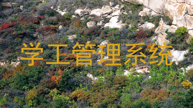 学工管理系统