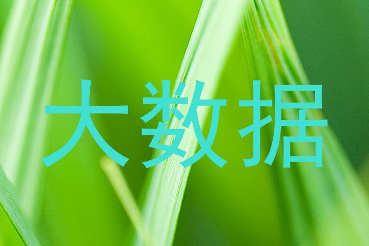 大数据