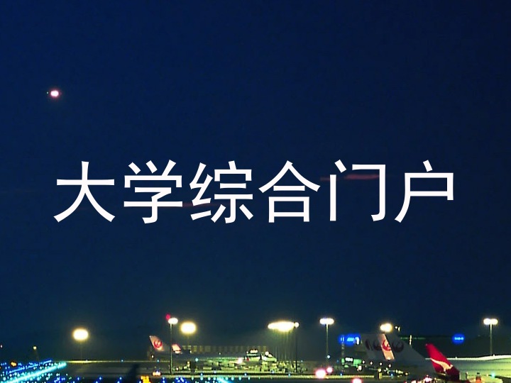 大学综合门户