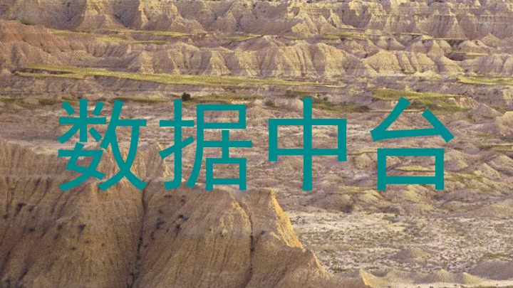 数据中台